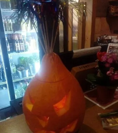 招待所 Nabrezni Terasy Žďár nad Sázavou