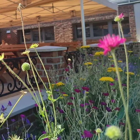 Nabrezni Terasy 招待所